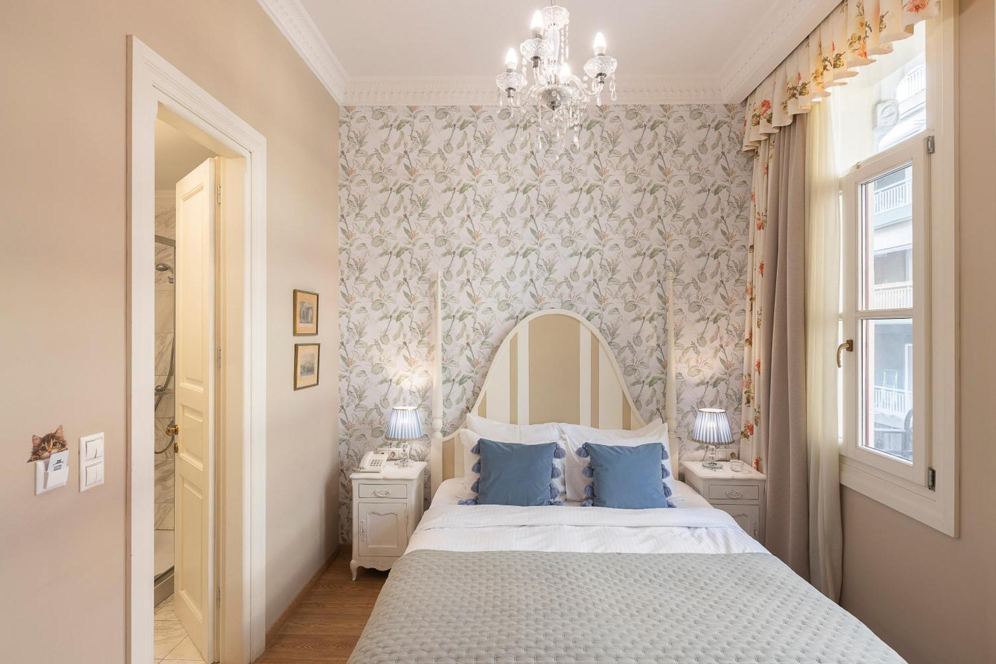 Gatto Perso Luxury Appartement