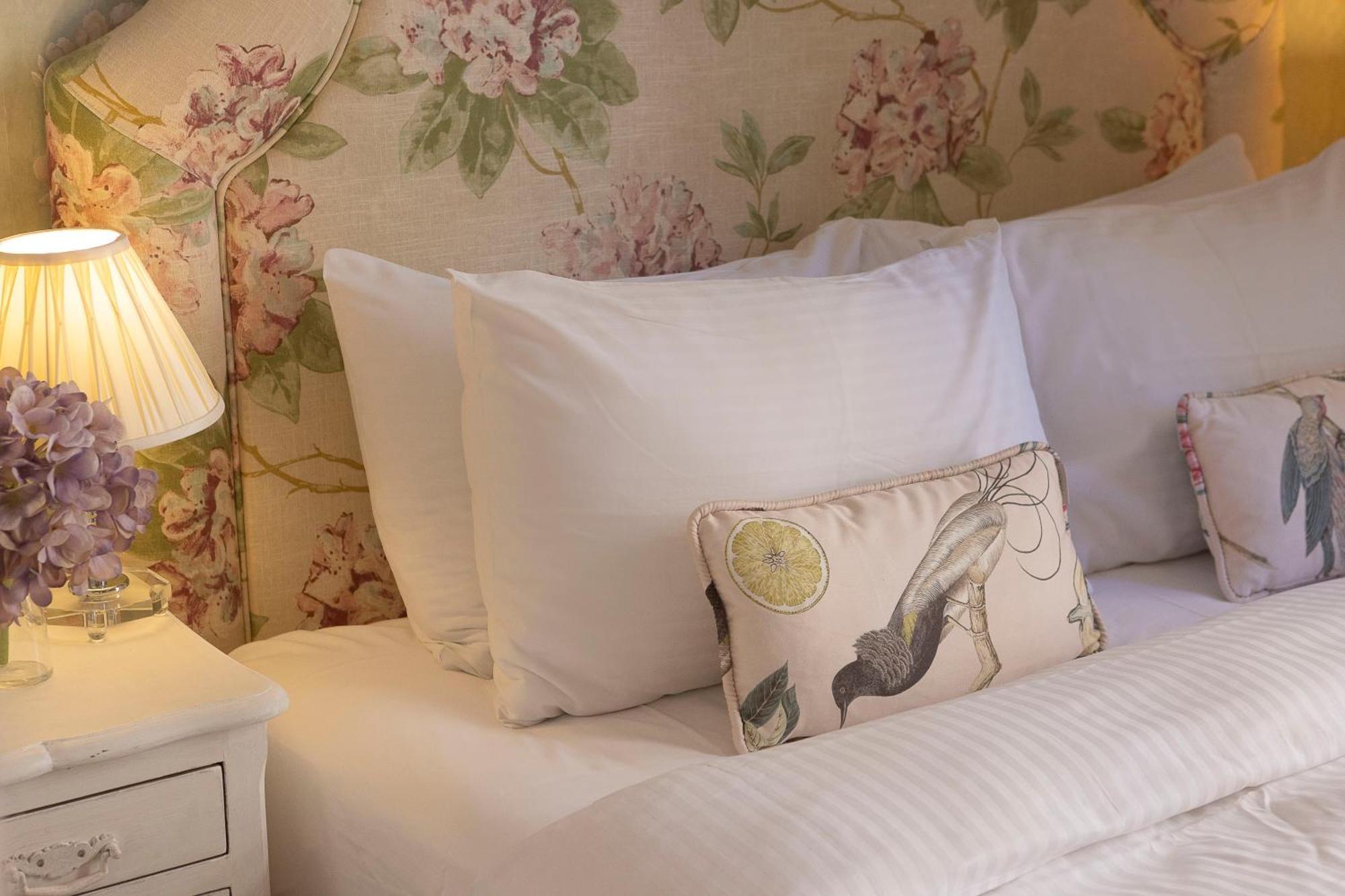 Gatto Perso Luxury Appartement *